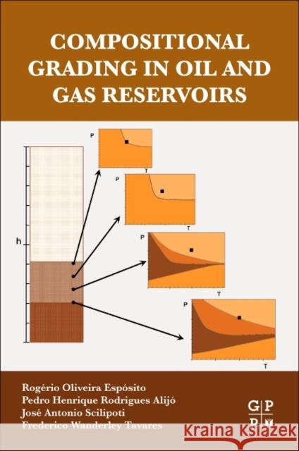 Compositional Grading in Oil and Gas Reservoirs Rogerio Oliveir Pedro Henrique Rodrigue Jose Antonio Scilipoti 9780128124529 Gulf Professional Publishing
