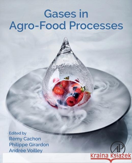 Gases in Agro-Food Processes Remy Cachon Philippe Girardon Andree Voilley 9780128124659