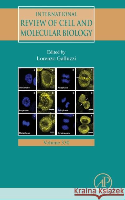 International Review of Cell and Molecular Biology: Volume 330 Galluzzi, Lorenzo 9780128124673 Academic Press