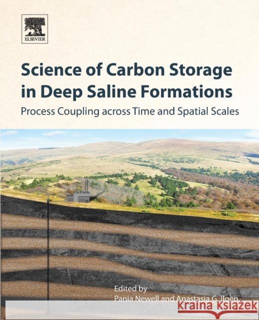 Science of Carbon Storage in Deep Saline Formations: Process Coupling Across Time and Spatial Scales Pania Newell Anastasia Ilgen 9780128127520 Elsevier