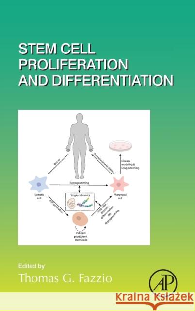 Stem Cell Proliferation and Differentiation: Volume 138 Fazzio, Thomas G. 9780128128909 Academic Press