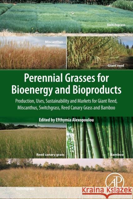Perennial Grasses for Bioenergy and Bioproducts: Production, Uses, Sustainability and Markets for Giant Reed, Miscanthus, Switchgrass, Reed Canary Gra Efthymia Alexopoulou 9780128129005 Academic Press