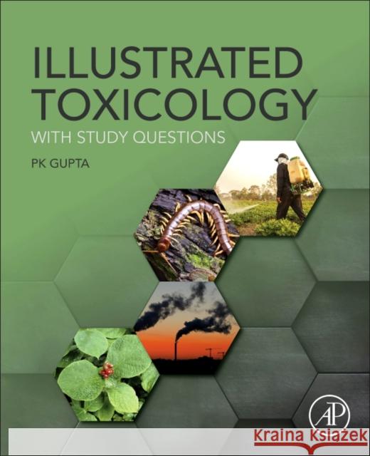 Illustrated Toxicology: With Study Questions Gupta, P. K. 9780128132135 Academic Press