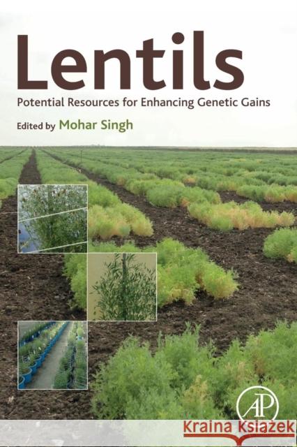 Lentils: Potential Resources for Enhancing Genetic Gains Mohar Singh 9780128135228 Academic Press