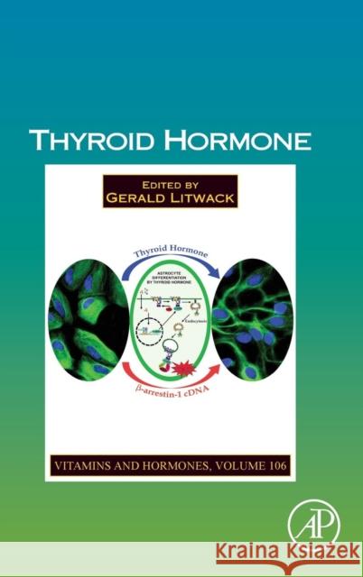 Thyroid Hormone: Volume 106 Litwack, Gerald 9780128141168