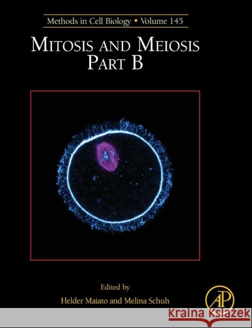 Mitosis and Meiosis Part B: Volume 145 Maiato, Helder 9780128141427 Academic Press