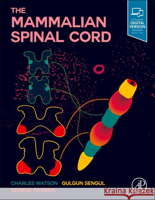 The Mammalian Spinal Cord Watson, Charles 9780128141465 Academic Press