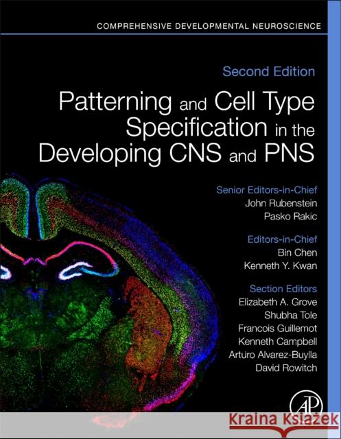 Patterning and Cell Type Specification in the Developing CNS and Pns: Comprehensive Developmental Neuroscience Bin Chen Kenneth Y. Kwan John Rubenstein 9780128144053 Academic Press