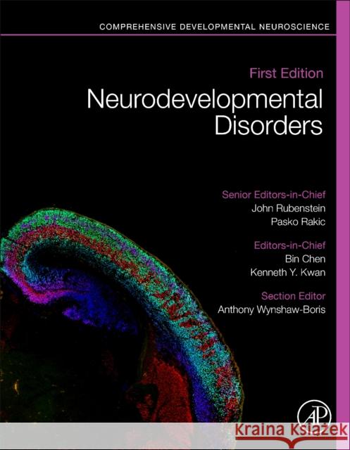 Neurodevelopmental Disorders and Function in the Healthy and Diseased Brain: Comprehensive Developmental Neuroscience Bin Chen Kenneth Y. Kwan John Rubenstein 9780128144091 Academic Press