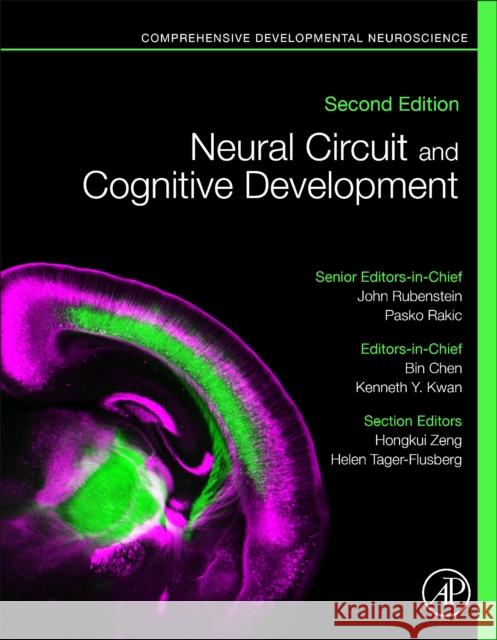 Neural Circuit and Cognitive Development: Comprehensive Developmental Neuroscience Bin Chen Kenneth Y. Kwan John Rubenstein 9780128144114 Academic Press