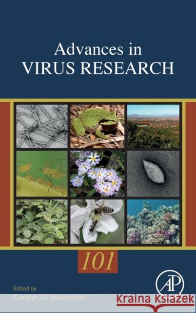 Environmental Virology and Virus Ecology: Volume 101 Malmstrom, Carolyn 9780128144152 Academic Press