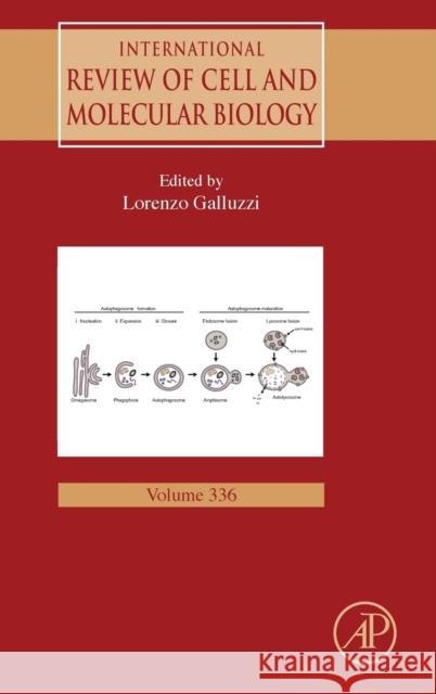 International Review of Cell and Molecular Biology: Volume 336 Galluzzi, Lorenzo 9780128146514 Academic Press