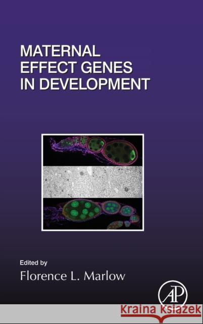 Maternal Effect Genes in Development: Volume 140 Marlow, Florence L. 9780128152201 Academic Press