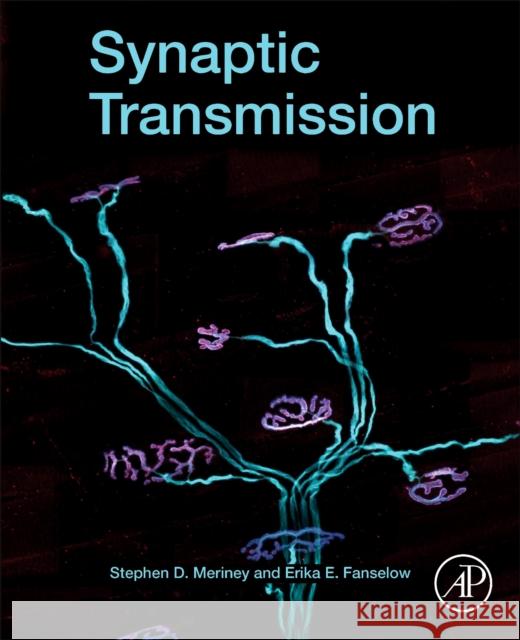 Synaptic Transmission Stephen D. Meriney Erika Fanselow 9780128153208 Academic Press