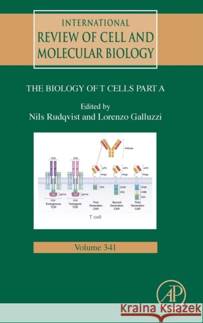 Biology of T Cells - Part a: Volume 341 Galluzzi, Lorenzo 9780128153857 Academic Press