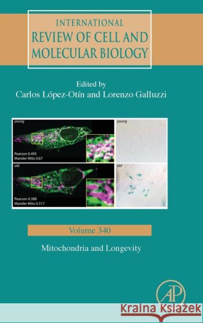 Mitochondria and Longevity: Volume 340 Lopez-Otin, Carlos 9780128157367