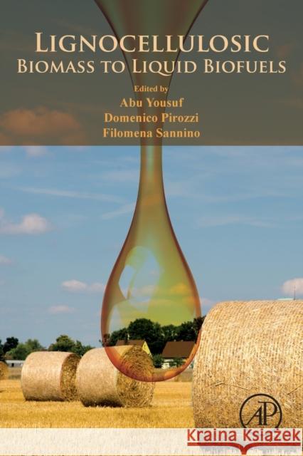 Lignocellulosic Biomass to Liquid Biofuels Abu Yousuf Filomena Sannino Domenico Pirozzi 9780128159361 Academic Press