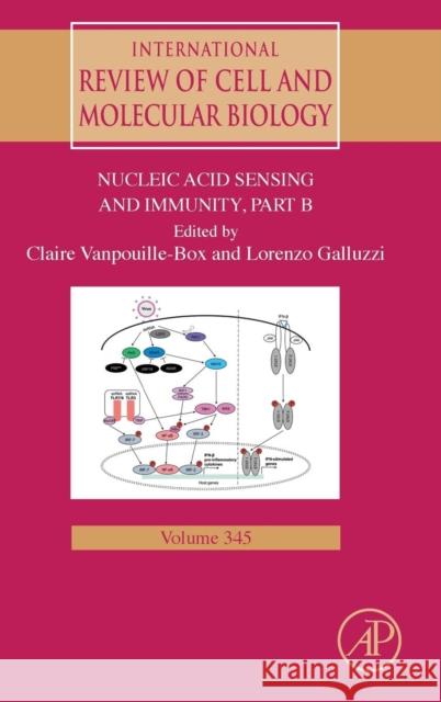 Nucleic Acid Sensing and Immunity - Part B: Volume 345 Vanpouille-Box, Claire 9780128159811 Academic Press