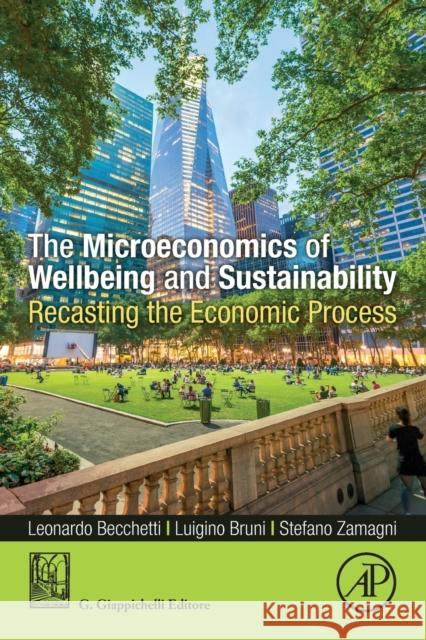 The Microeconomics of Wellbeing and Sustainability: Recasting the Economic Process Becchetti, Leonardo 9780128160275