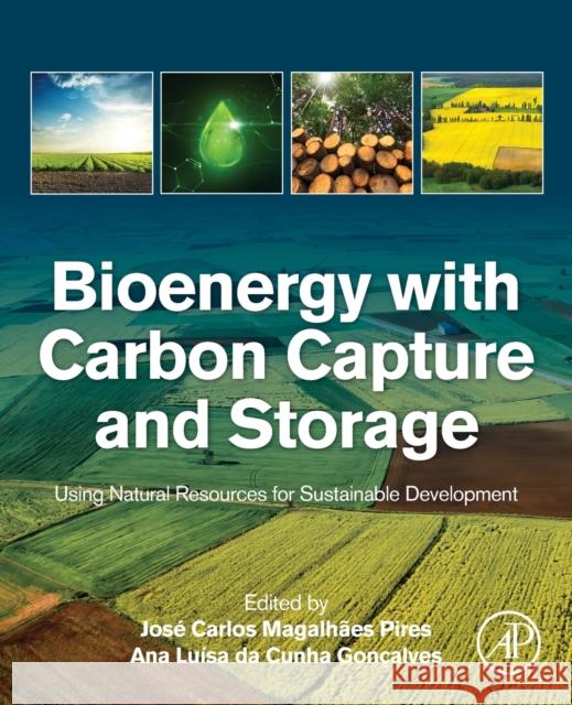 Bioenergy with Carbon Capture and Storage: Using Natural Resources for Sustainable Development Magalhaes Pires, Jose Carlos 9780128162293