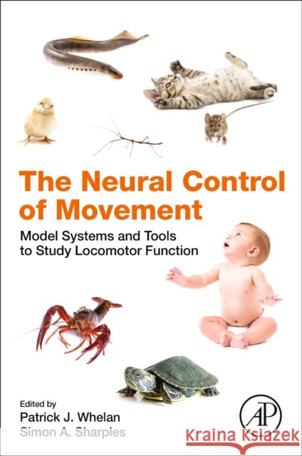 The Neural Control of Movement: Model Systems and Tools to Study Locomotor Function Patrick J. Whelan Simon A. Sharples 9780128164778 Academic Press