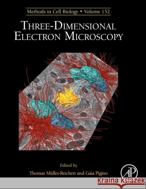 Three-Dimensional Electron Microscopy: Volume 152 Muller-Reichert, Thomas 9780128170182 Academic Press