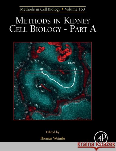 Methods in Kidney Cell Biology Part a: Volume 153 Weimbs, Thomas 9780128170823 Academic Press