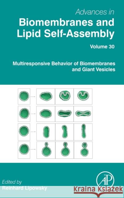 Multiresponsive Behavior of Biomembranes and Giant Vesicles: Volume 30 Lipowsky, Reinhard 9780128174838
