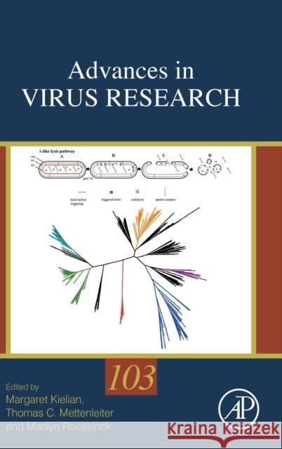 Advances in Virus Research: Volume 103 Mettenleiter, Thomas 9780128177228 Academic Press