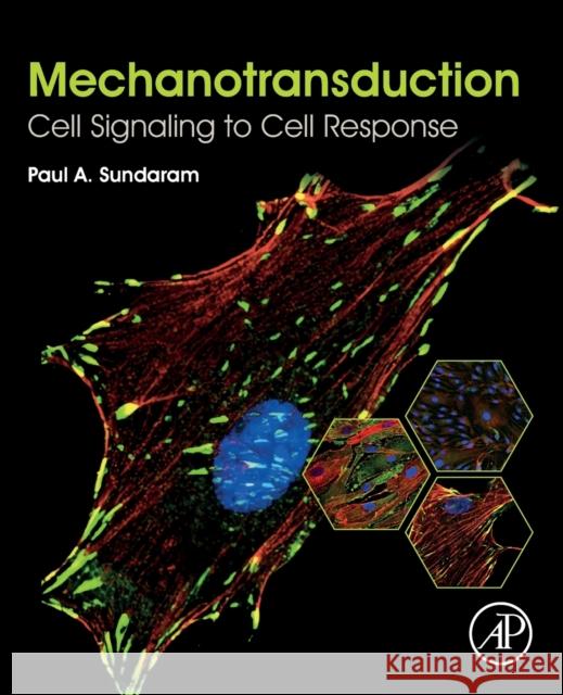 Mechanotransduction: Cell Signaling to Cell Response Paul Sundaram 9780128178829