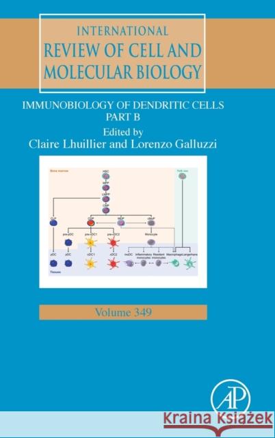 Immunobiology of Dendritic Cells Part B: Volume 349 Galluzzi, Lorenzo 9780128183571 Academic Press