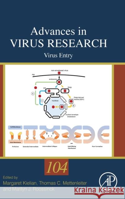 Virus Entry: Volume 104 Mettenleiter, Thomas 9780128183946 Academic Press