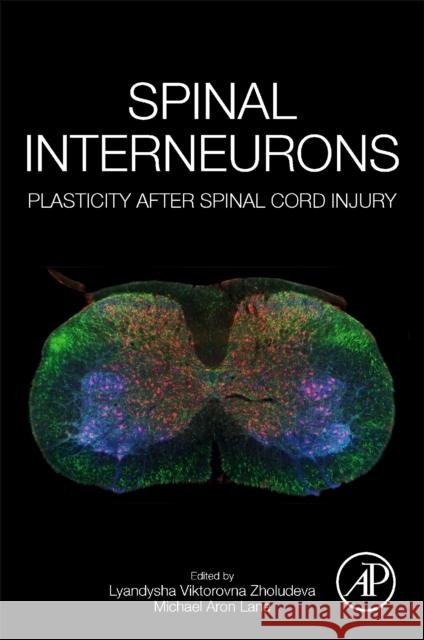 Spinal Interneurons: Plasticity After Spinal Cord Injury Lyandysha Zholudeva Michael Lane 9780128192603