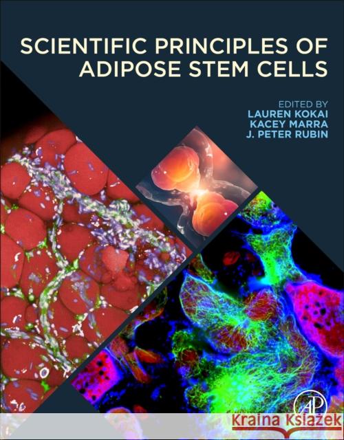 Scientific Principles of Adipose Stem Cells J. Peter Rubin Lauren Elizabeth Kokai Kacey Gribbin Marra 9780128193761