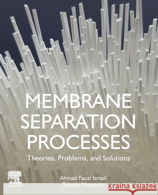 Membrane Separation Processes: Theories, Problems, and Solutions Ismail, Ahmad Fauzi 9780128196267 Elsevier
