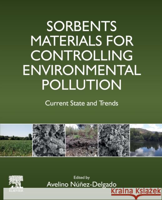 Sorbents Materials for Controlling Environmental Pollution: Current State and Trends Avelino Nunez-Delgado 9780128200421 Elsevier