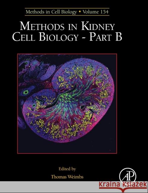 Methods in Kidney Cell Biology Part B: Volume 154 Weimbs, Thomas 9780128203354 Academic Press