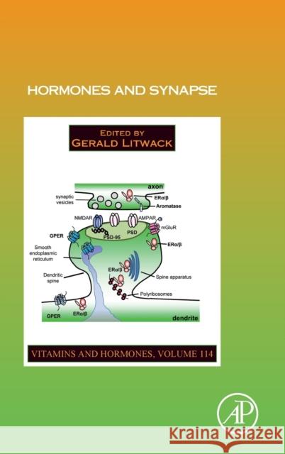 Hormones and Synapse: Volume 114 Litwack, Gerald 9780128220252 Academic Press