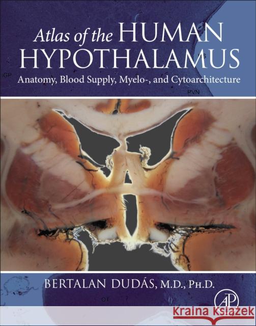 Atlas of the Human Hypothalamus: Anatomy, Blood Supply, Myelo- And Cytoarchitecture Bertalan Dudas 9780128220511 Academic Press