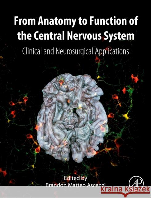 From Anatomy to Function of the Central Nervous System: Clinical and Neurosurgical Applications Brandon Matteo Ascenzi 9780128224045 Academic Press