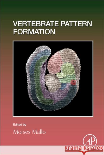 Vertebrate Pattern Formation Moises Mallo 9780128234617 Elsevier Science Publishing Co Inc