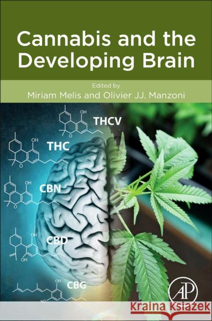 Cannabis and the Developing Brain Miriam Melis Olivier Manzoni 9780128234907 Academic Press