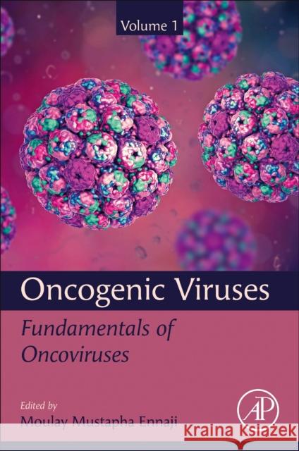 Oncogenic Viruses Volume 1: Fundamentals of Oncoviruses Ennaji, Moulay Mustapha 9780128241523 Academic Press