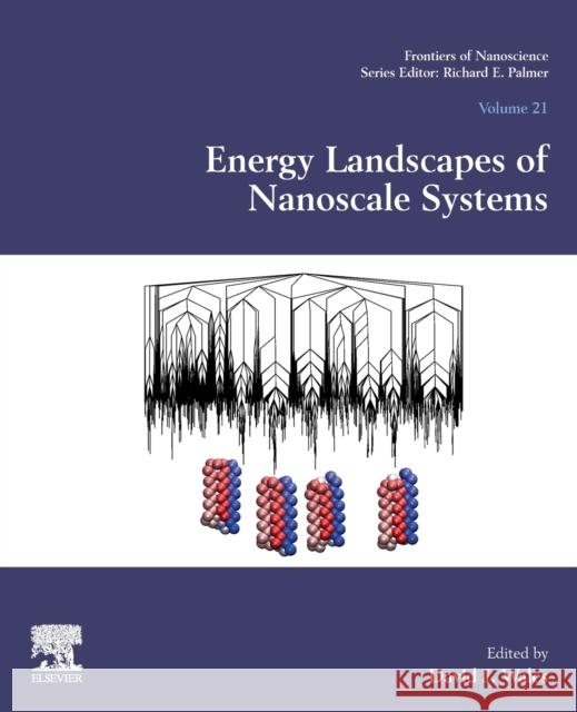 Energy Landscapes of Nanoscale Systems: Volume 21 Wales, David J. 9780128244067