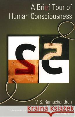 A Brief Tour of Human Consciousness: From Impostor Poodles to Purple Numbers V. S. Ramachandran 9780131872783 Pi Press