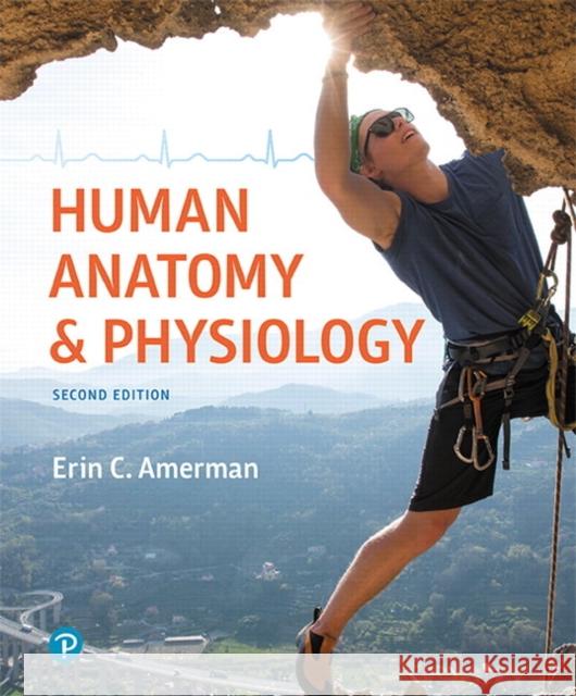 Human Anatomy & Physiology Erin C. Amerman 9780134553511 Pearson Education (US)