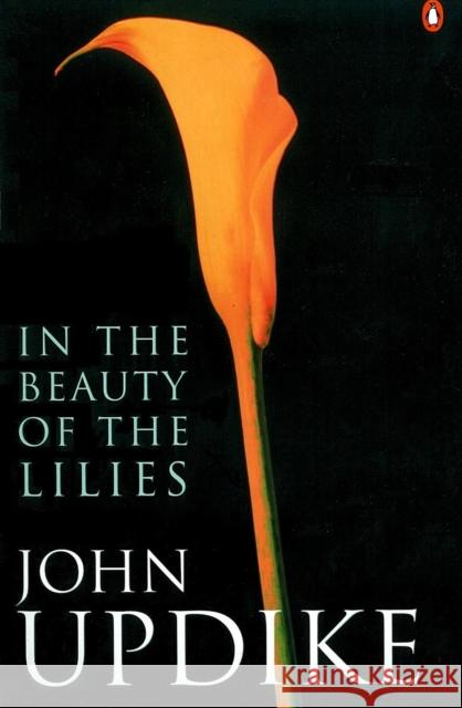 In the Beauty of the Lilies John Updike 9780140255898 PENGUIN BOOKS LTD