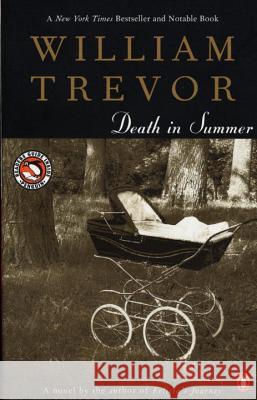 Death in Summer William Trevor 9780140287820 Penguin Books