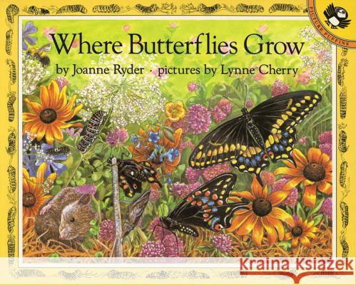 Where Butterflies Grow Joanne Ryder Lynne Cherry 9780140558586 Puffin Books