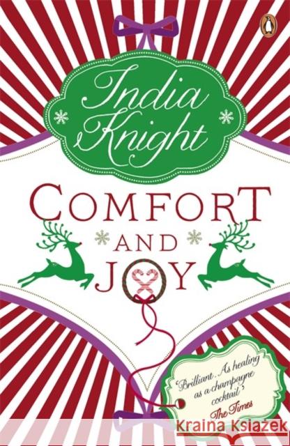 Comfort and Joy India Knight 9780141010953